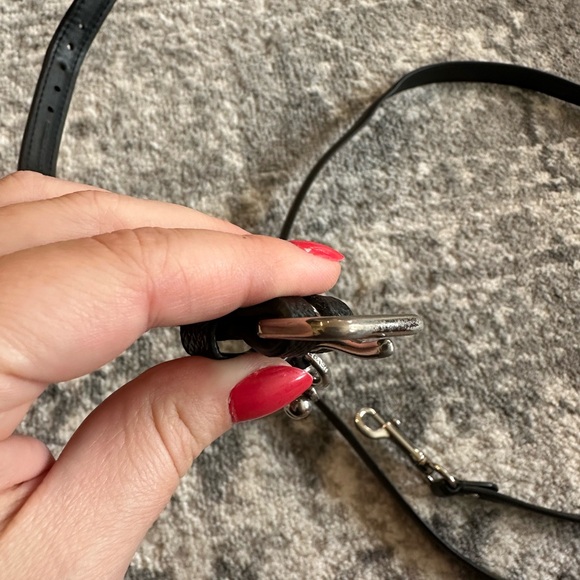 Coach Dog Collar and Leash - Picture 4 of 7